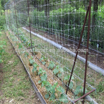 100% virgin HDPE crop and vegetable green extruded support trellis net